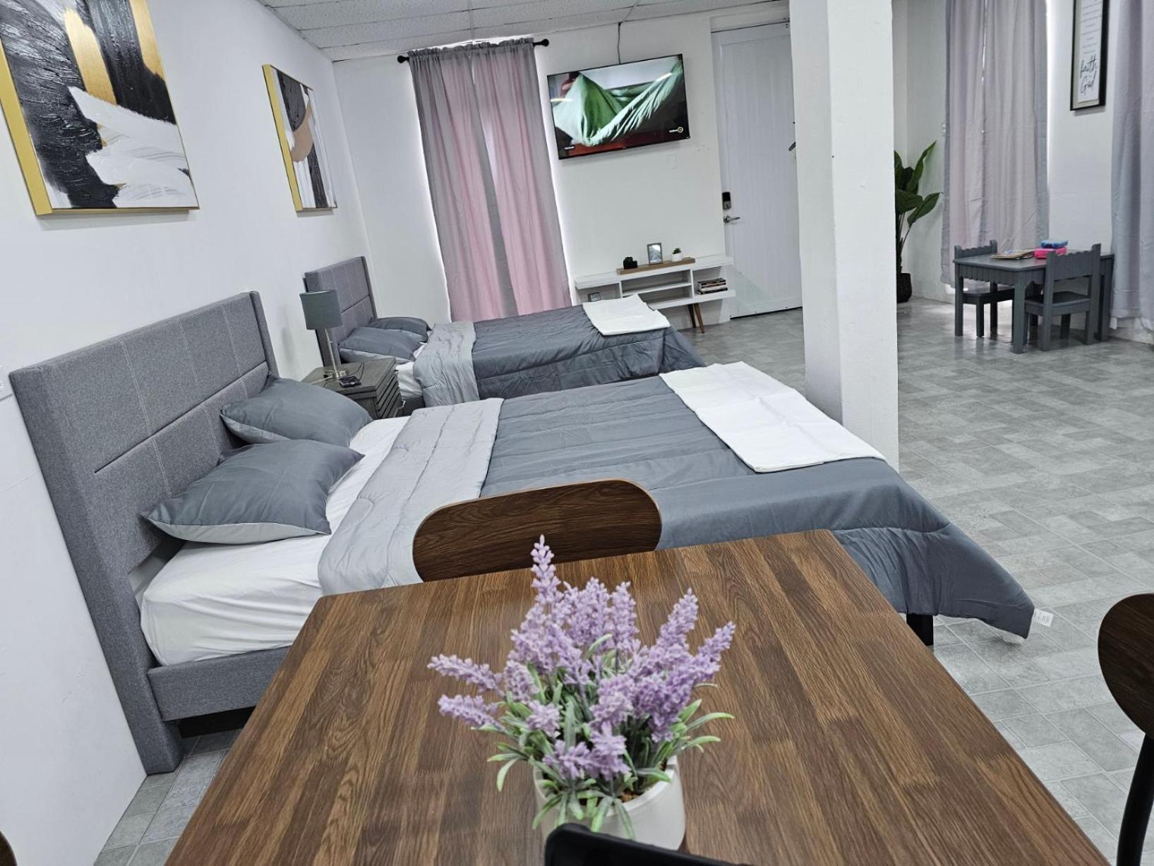Salmos 23 Acogedor Apartamento Estudio Ceiba Luaran gambar